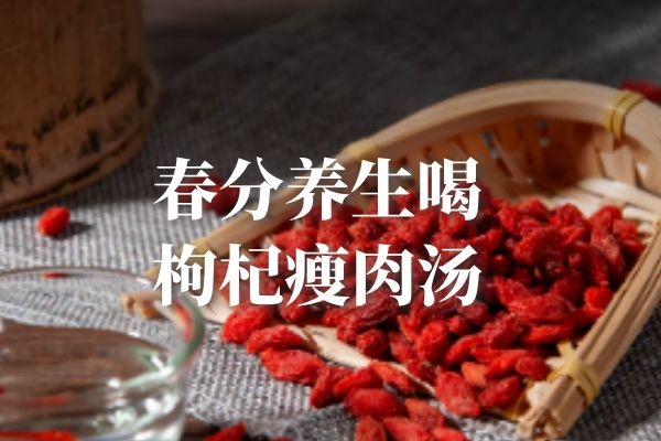 枸杞瘦肉汤 枸杞瘦肉汤