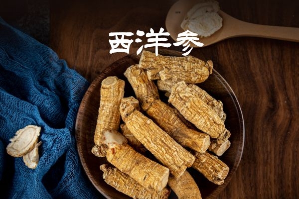 西洋参.jpg