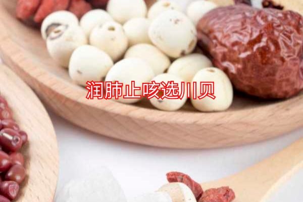 川贝.jpg