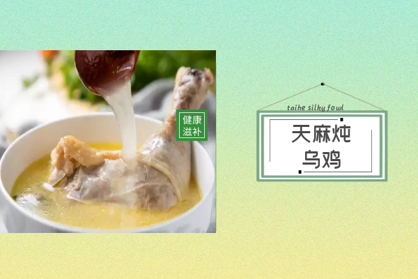 天麻炖乌鸡 天麻炖乌鸡