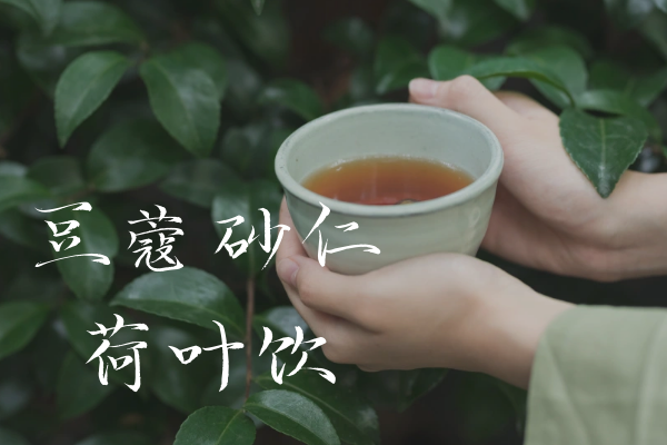 豆蔻砂仁荷叶饮