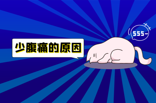 少腹痛的原因有哪些？如何治疗？