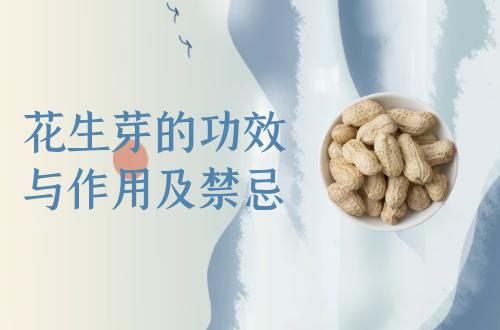 花生芽的功效与作用及禁忌