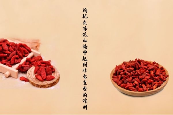 枸杞降血糖.jpg