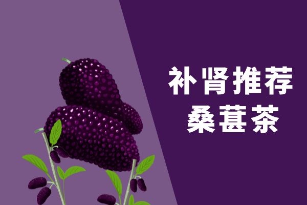 补肾推荐桑葚茶.jpg
