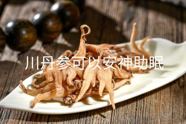 川丹参可以安神助眠.jpg 川丹参可以安神助眠.jpg