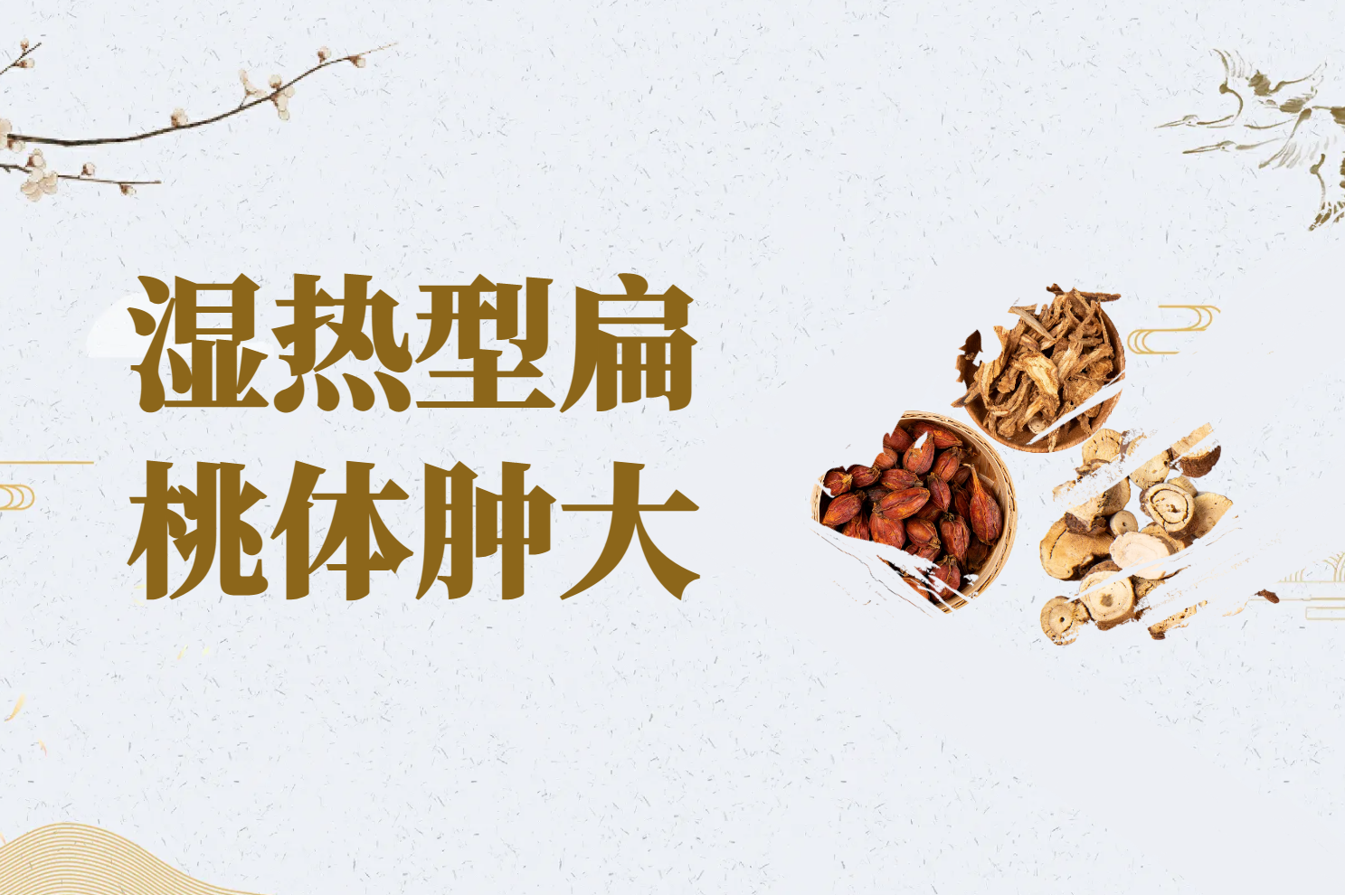 湿热证型 湿热证型