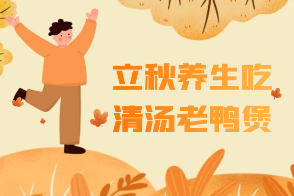 清汤老鸭煲 清汤老鸭煲