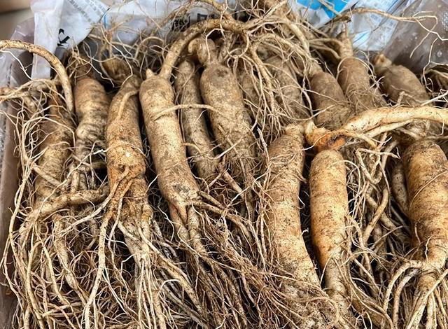 建议大家，这7类食物要常温储存，别放给冰箱，容易坏得更快！