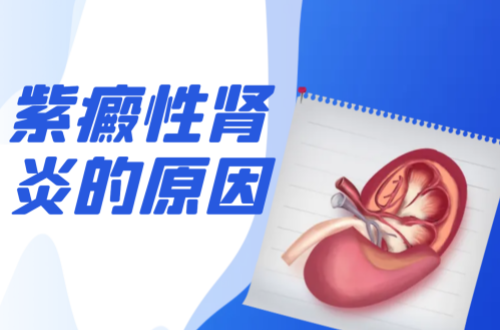 导致紫癜性肾炎的原因