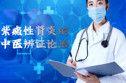 紫癜性肾炎的中医辨证论治