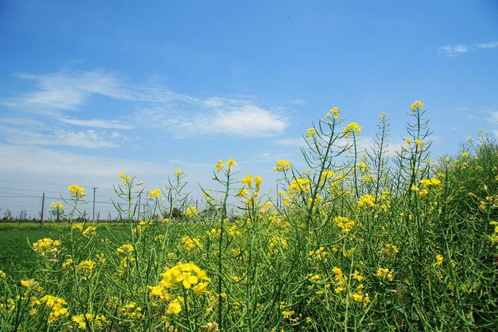 春季 春季