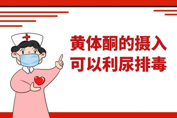 可以利尿排毒 可以利尿排毒