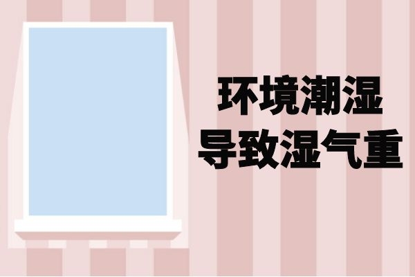 环境潮湿 环境潮湿