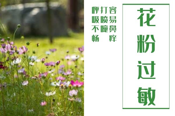 会鼻痒打喷嚏 会鼻痒打喷嚏