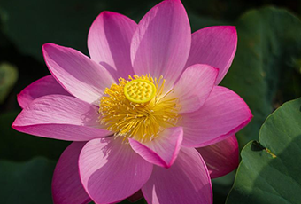 A5D6391F-E3D6-4478-912D-D65708D6A8CD.png A5D6391F-E3D6-4478-912D-D65708D6A8CD.png
