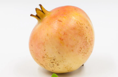 3C0DB1BB-6E3A-4da4-9FF6-B5B0C5D637C0.png 3C0DB1BB-6E3A-4da4-9FF6-B5B0C5D637C0.png