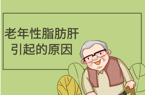 老年性脂肪肝引起的原因有哪些？
