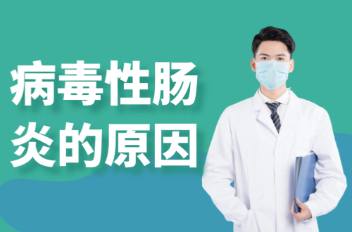 病毒性肠炎的原因有哪些？如何进行预防