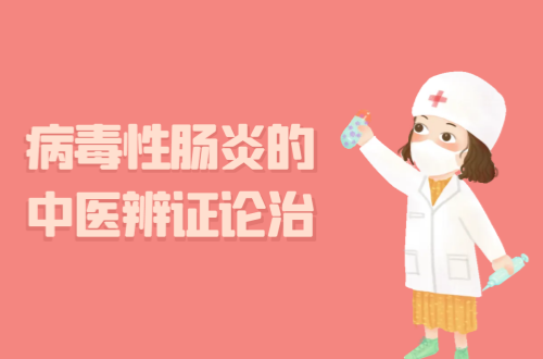 病毒性肠炎的中医辨证论治