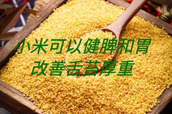 小米 小米