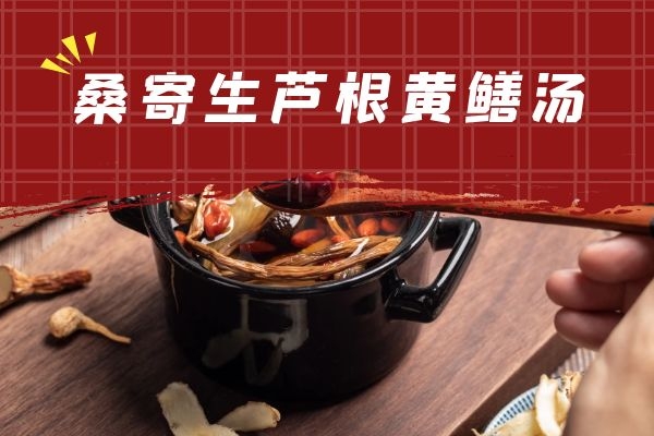 桑寄生芦根黄鳝汤