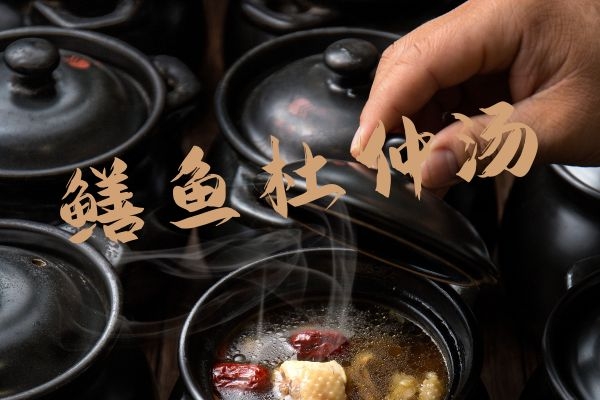 鳝鱼杜仲汤
