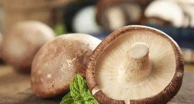 香菇五种做法超简单，荤素搭配香到爆，你家常菜单加了吗？