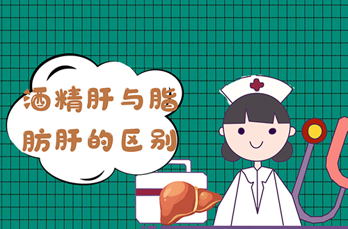 酒精肝与脂肪肝的区别有哪些？两者有这些不同之处