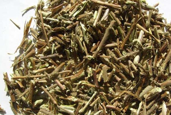 忍冬藤有哪些功效作用及注意事项