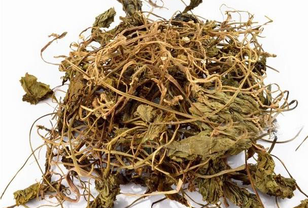 青天葵有哪些功效作用及注意事项