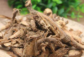 苎麻根有哪些功效作用及注意事项