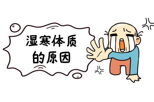 什么是湿寒体质？湿寒体质形成的原因有哪些