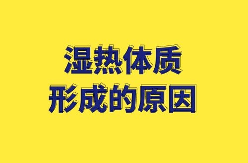 什么是湿热体质？湿热体质形成的原因有哪些？