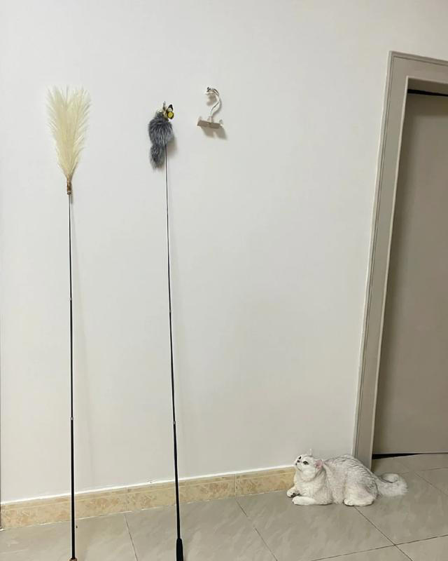 家里这7个“常用物品”竟然是玻璃纤维做的，用的时候可要小心！