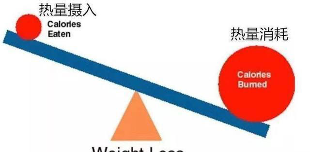 为什么坚持运动却瘦不下来，减脂，运动的意义是什么？