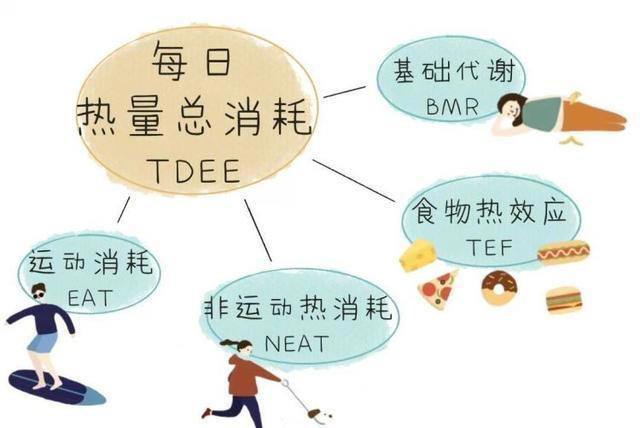 为什么坚持运动却瘦不下来，减脂，运动的意义是什么？