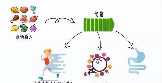 为什么坚持运动却瘦不下来，减脂，运动的意义是什么？