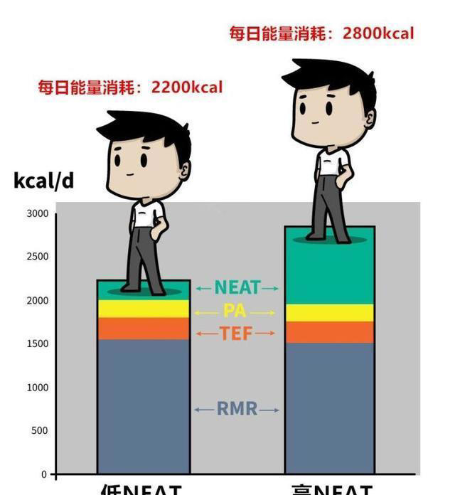 为什么坚持运动却瘦不下来，减脂，运动的意义是什么？