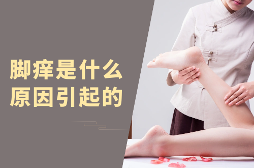 脚痒是什么原因引起的？该如何改善？