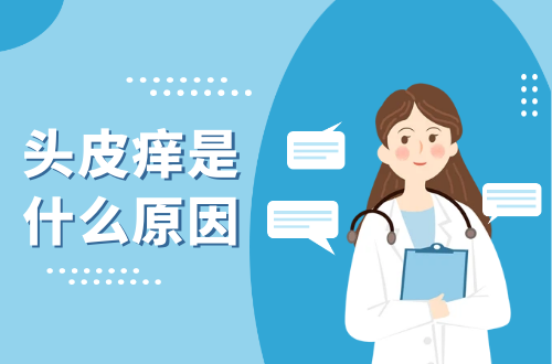 头皮痒是什么原因？如何缓解改善？