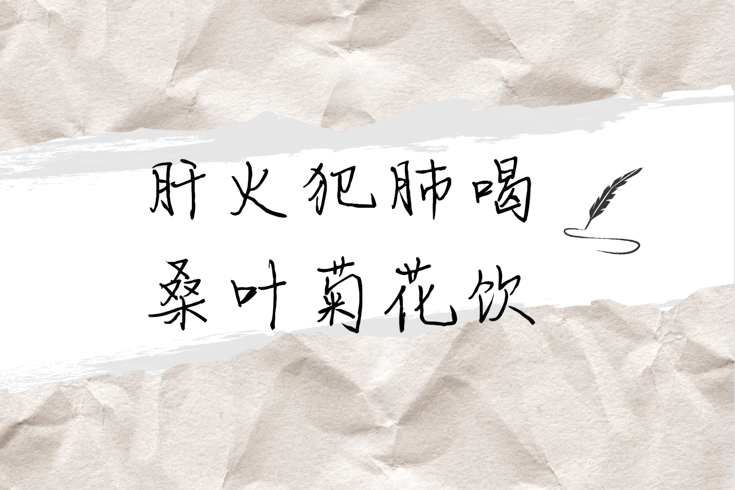 桑叶菊花饮 桑叶菊花饮