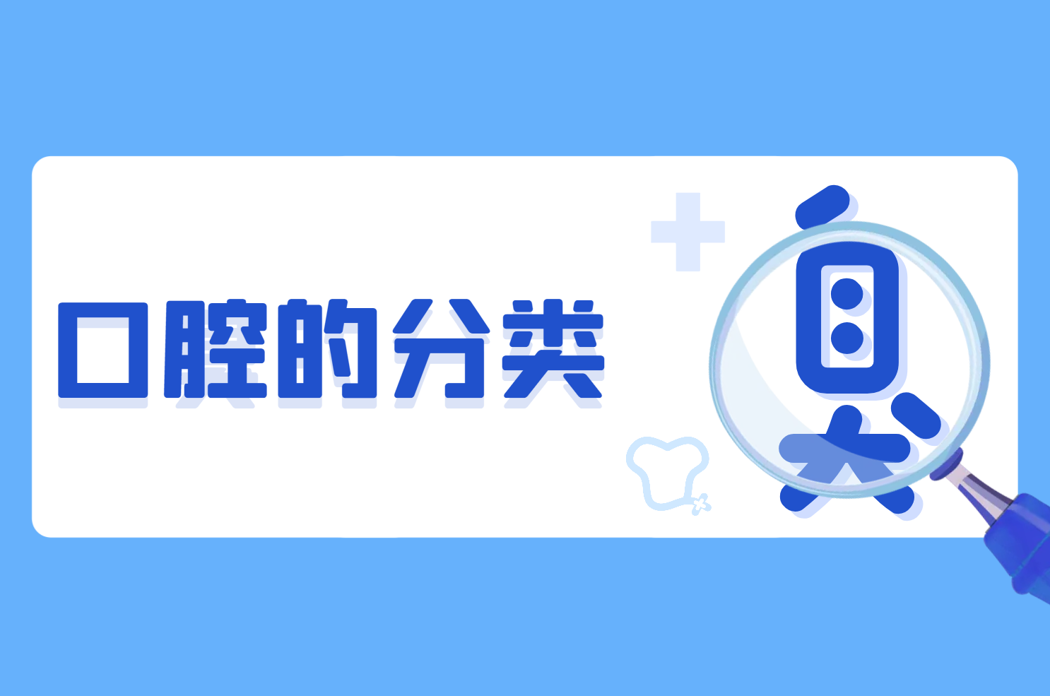 分类 分类