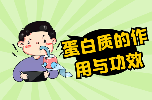 惊！蛋白质竟有这么多作用！|蛋白质的作用与功效