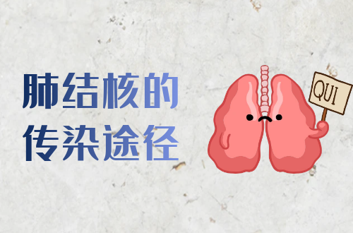 肺结核的传染途径有哪些？