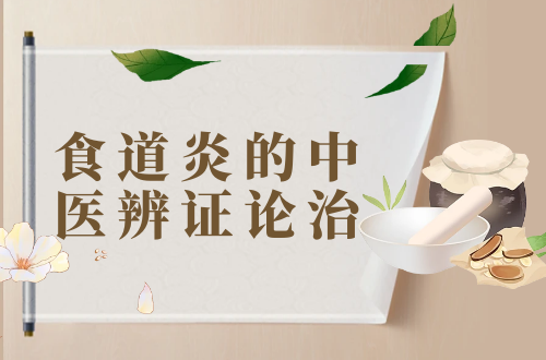 食道炎的中医辨证论治