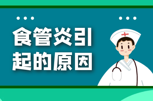 食管炎引起的原因有哪些？常见因素有这几个