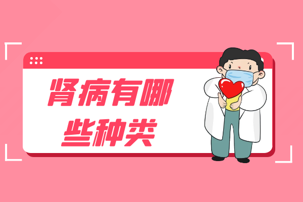 肾病有哪些种类