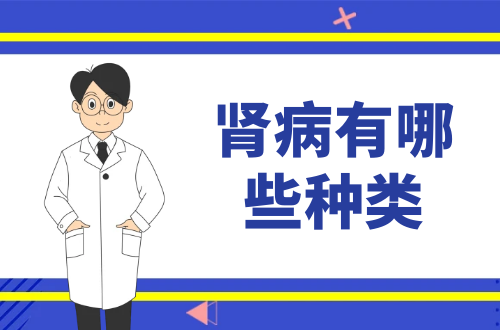 肾病有哪些种类？常见的有这几种