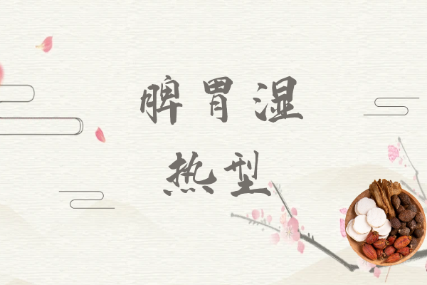 脾胃湿热型 脾胃湿热型
